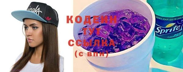 хмурый Алзамай