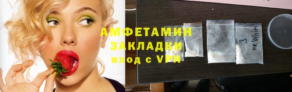 хмурый Алзамай
