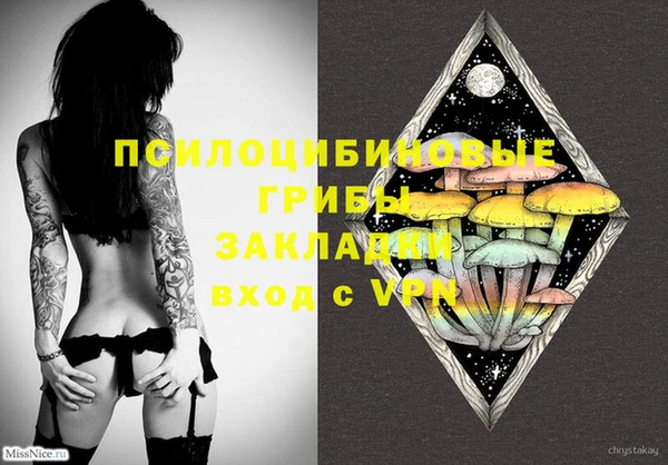 spice Аркадак