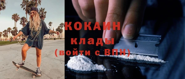прущие грибы Алексин
